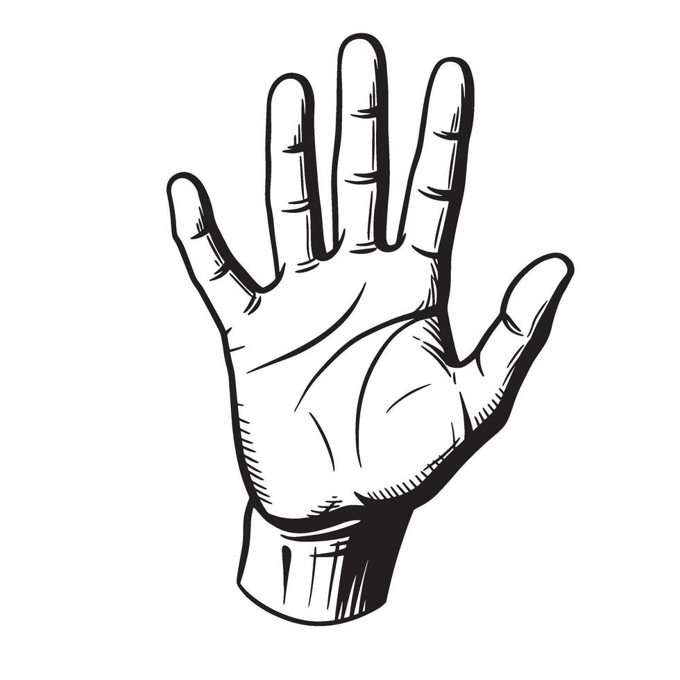 Hand gesture drawing detailed in black and white lines showing a palm open forward. vector