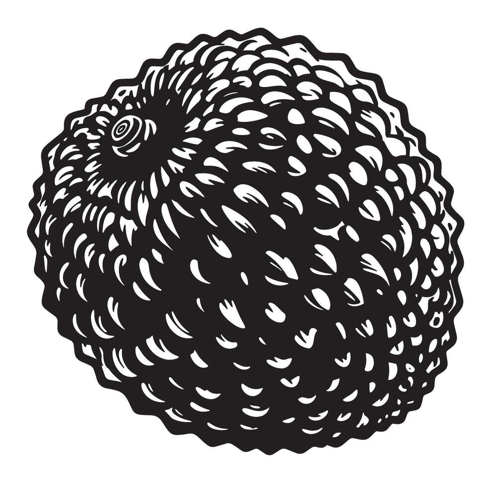 illustration of a black and white detailed and textured lychee fruit isolated vector