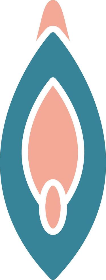 Vagina Global Unit vector