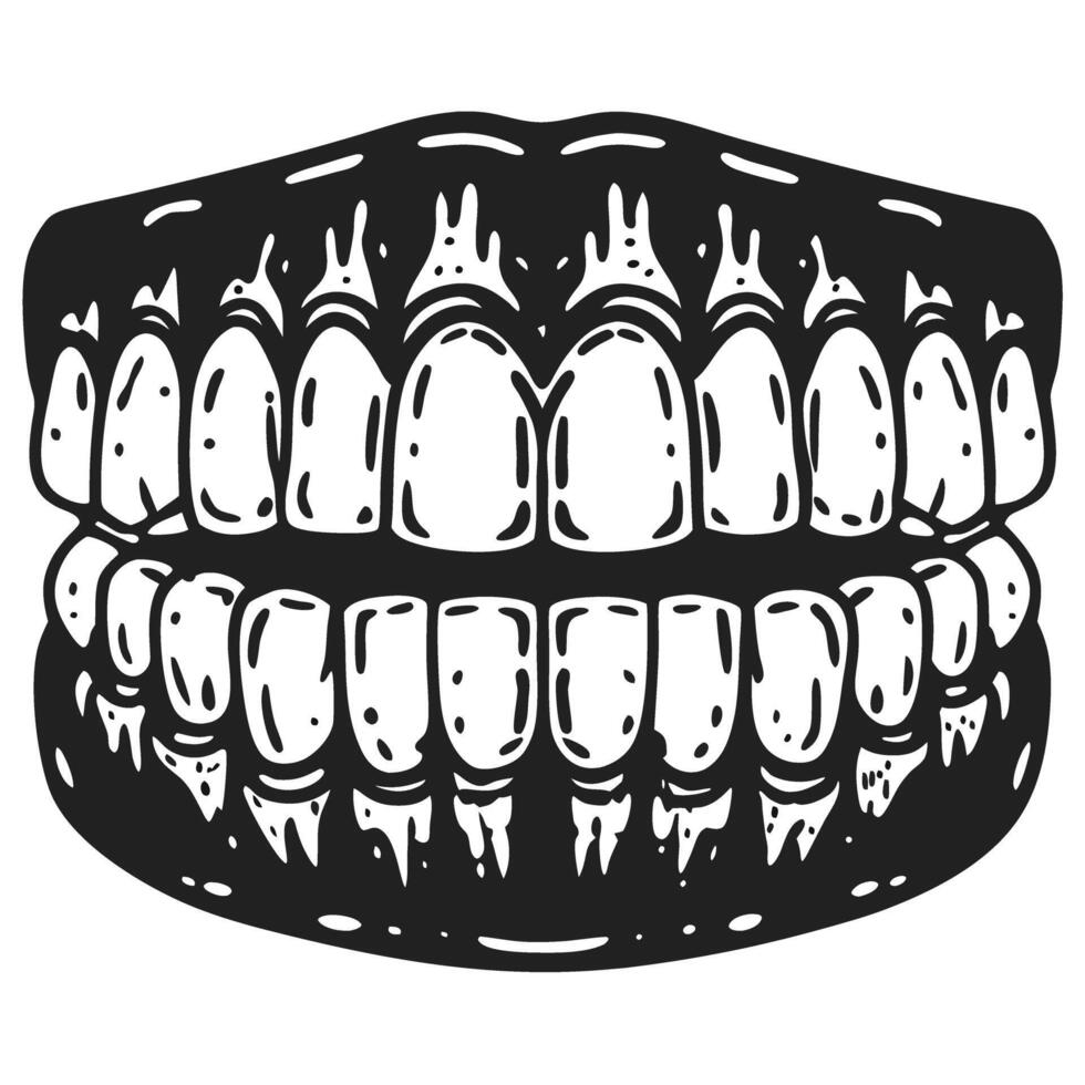Human teeth and jaws, vintage anatomical illustration black and white sketch, upper and lower jaw dental structure vector