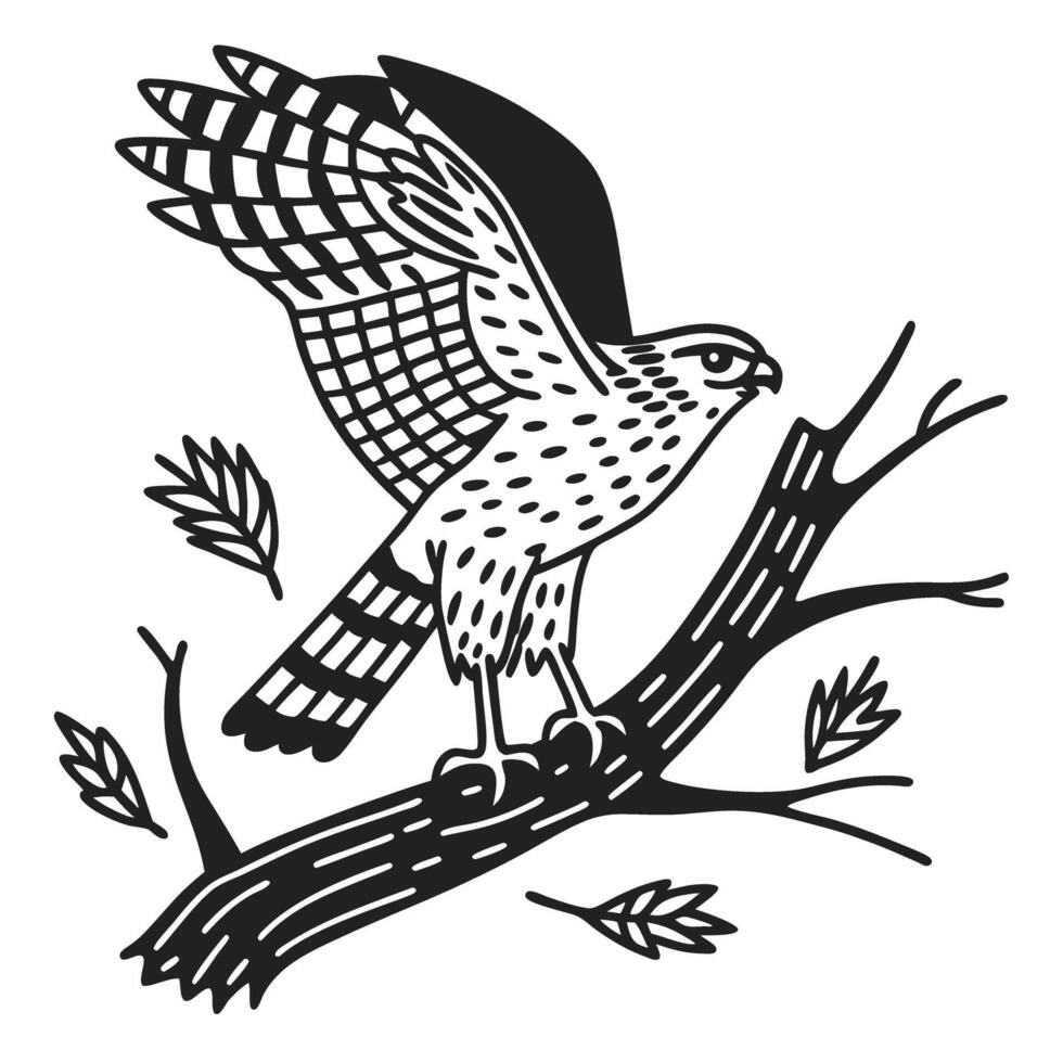 Hawk perching on branch with outstretched wings bold black illustration, forest raptor, perched bird wildlife nature art vector