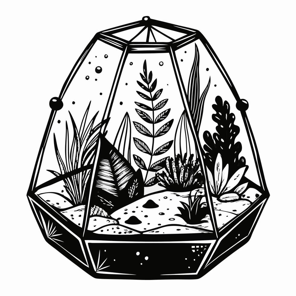 Monochrome Geometric Terrarium Illustration with Succulents and Ferns vector