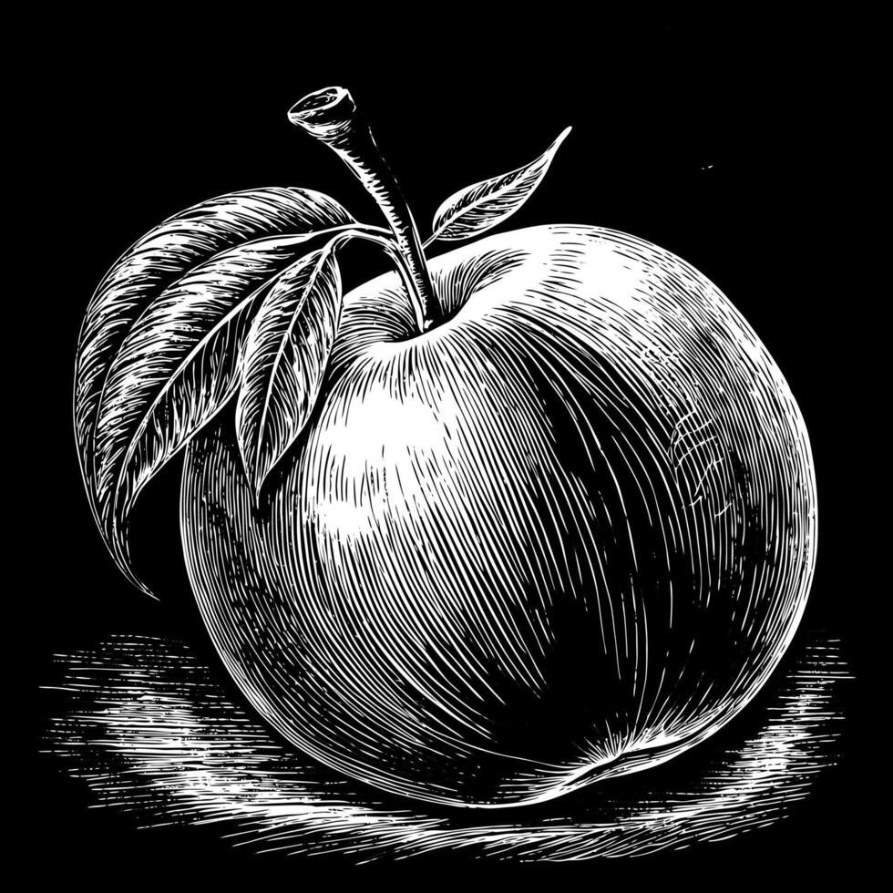 A drawing of a single apple with a leaf on top vector