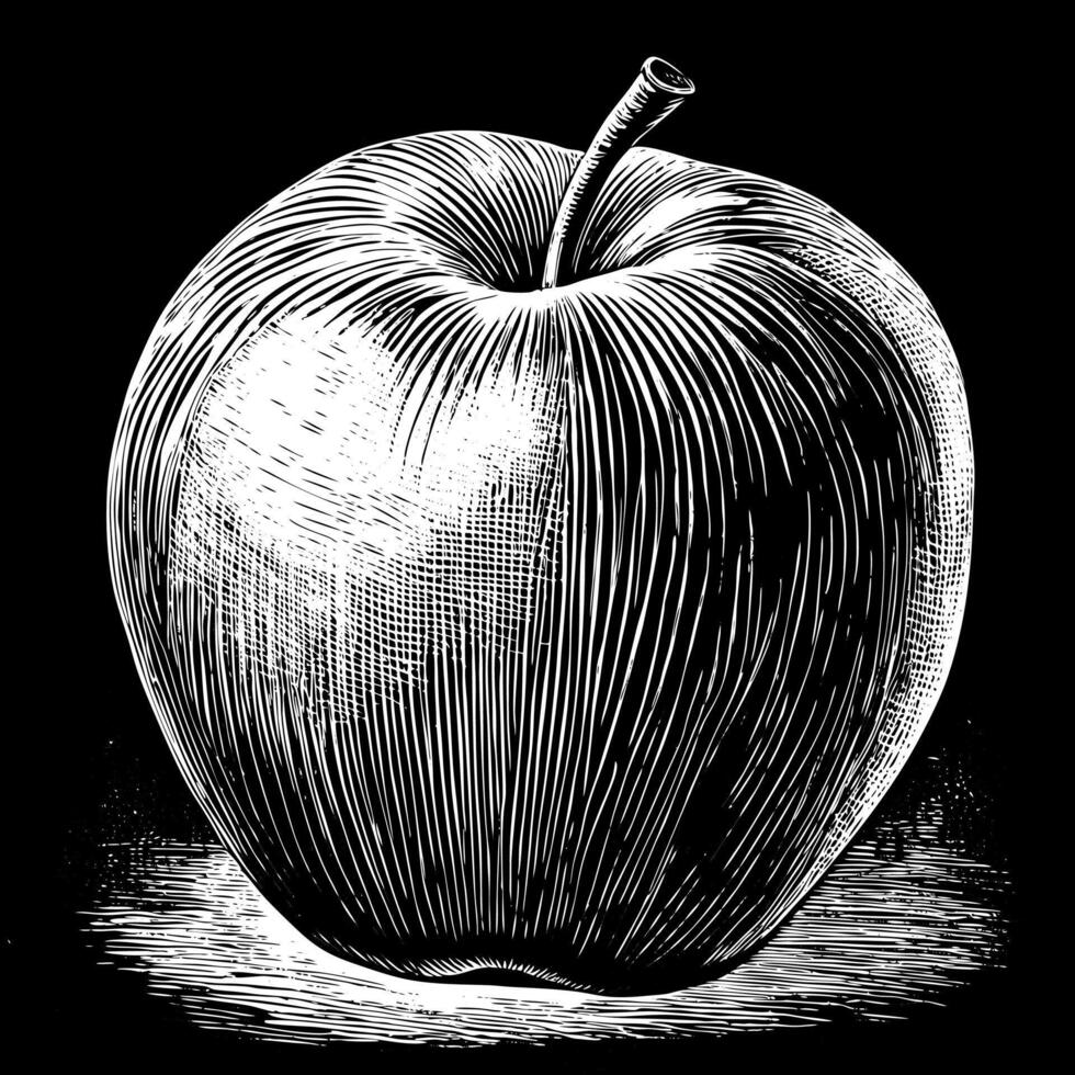 Black and white drawing of an apple vector