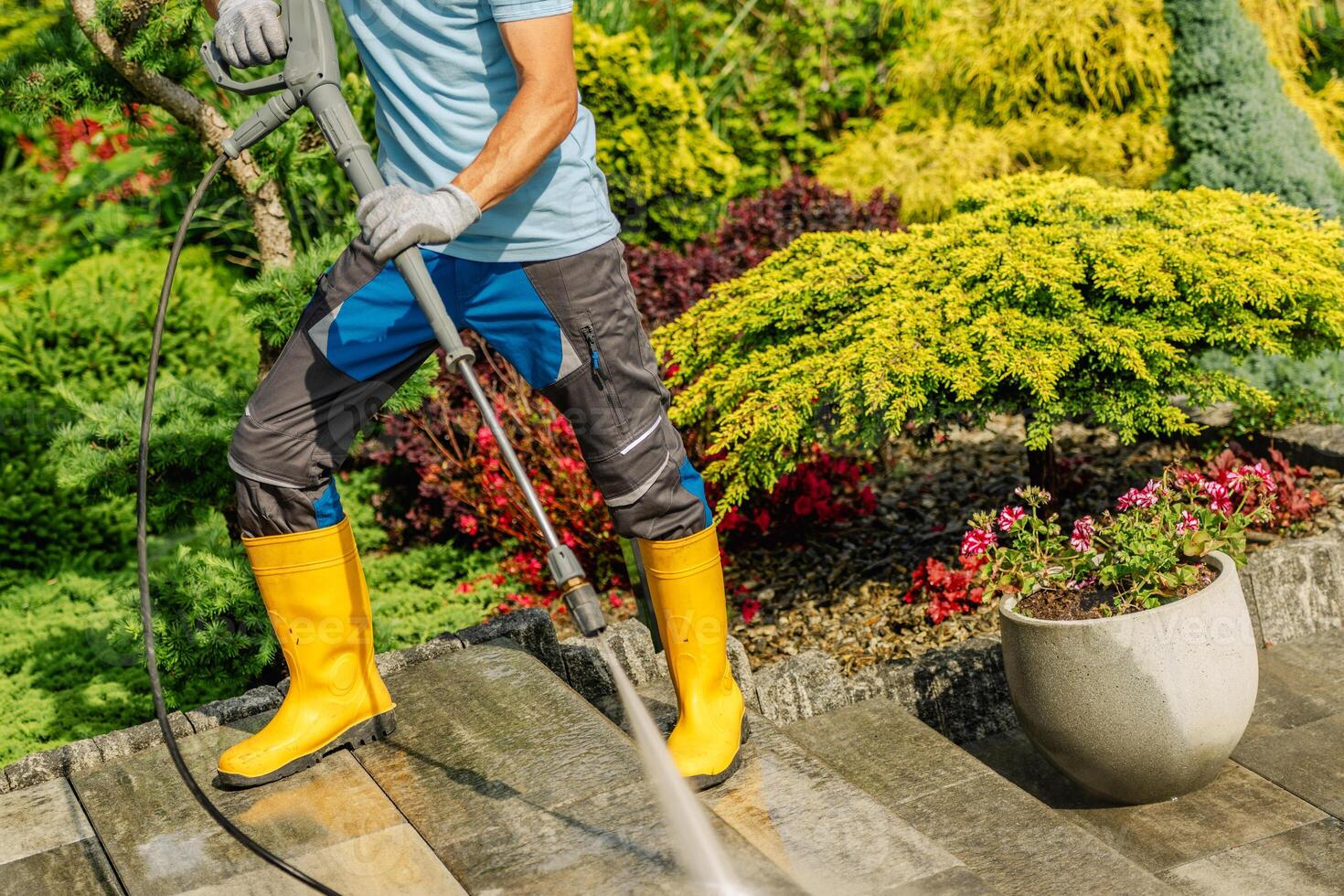 Cleaning Garden Pathways Using a Pressure Washer in Vibrant Landscaped Yard photo
