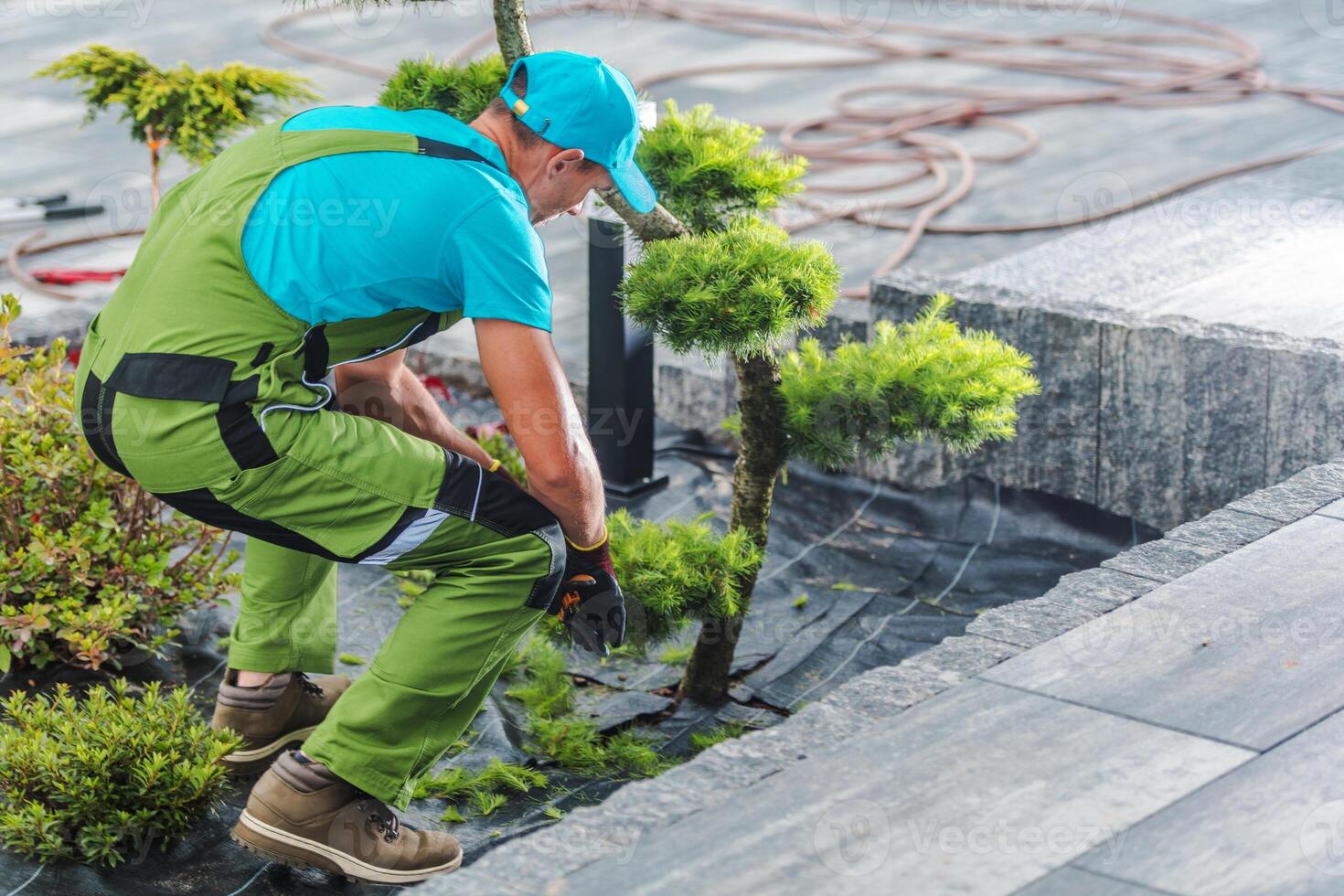Gardener Trimming Shrubs in an Outdoor Landscaping Project at a Modern Property photo