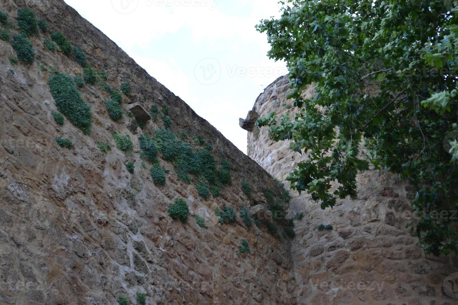 Historic stone walls and verdant foliage in Brihuega, Spain. Travel, vacation concept photo