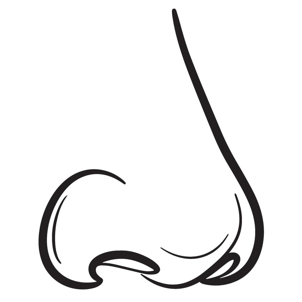 Isolated black and white outline illustration of a human nose with detailed shadows vector