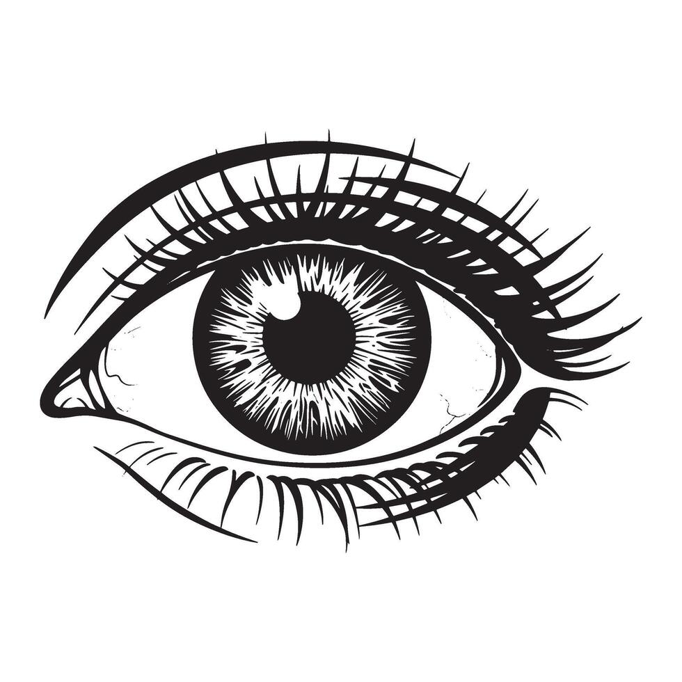 Detailed artistic illustration of a human eye with long eyelashes and a detailed iris vector