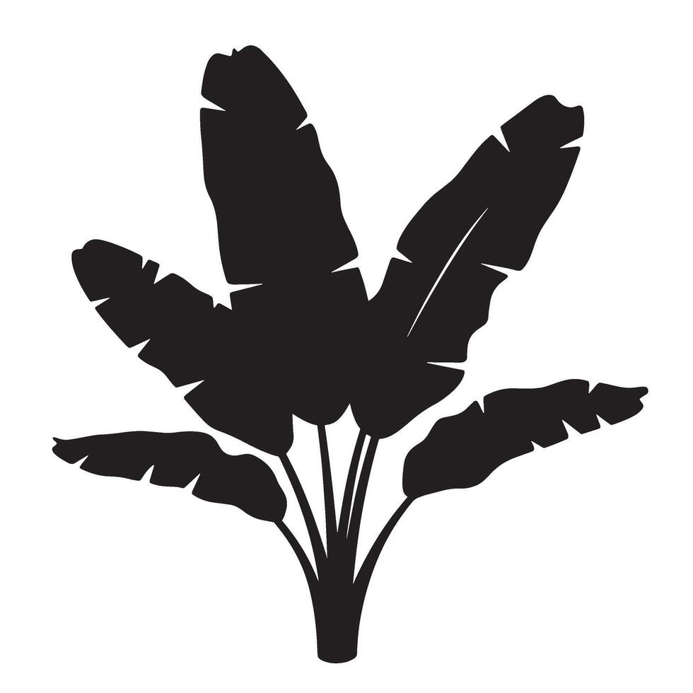 Black and white silhouette of a banana tree plant with tropical large leaves design vector