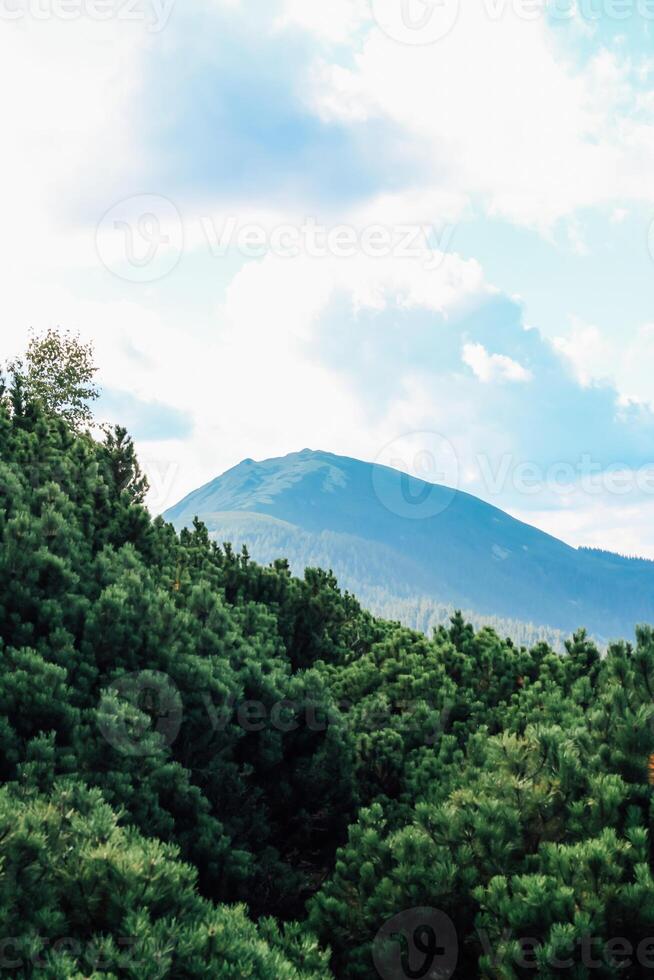 Scenic Carpathians view of a mountain surrounded by lush green trees under a cloudy sky photo