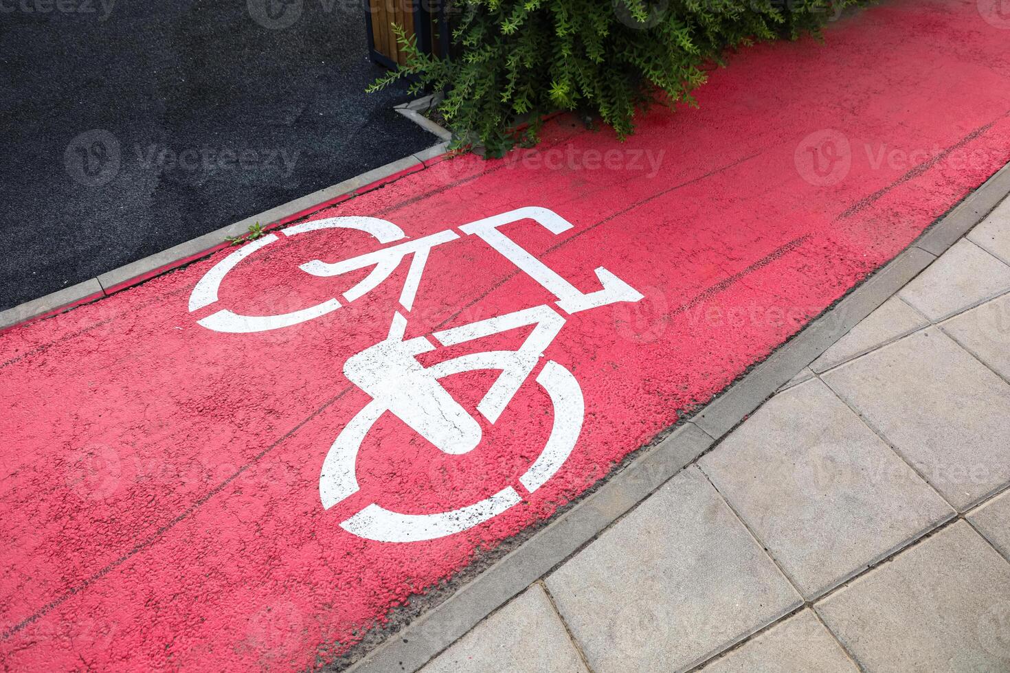 Bicycle lane marked with bright red paint beside walkway in a city area photo
