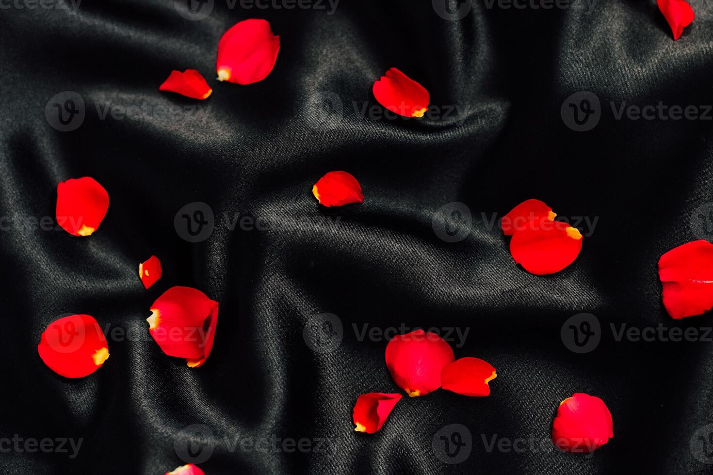 Bright red rose petals scattered on a smooth black fabric creating a striking contrast photo