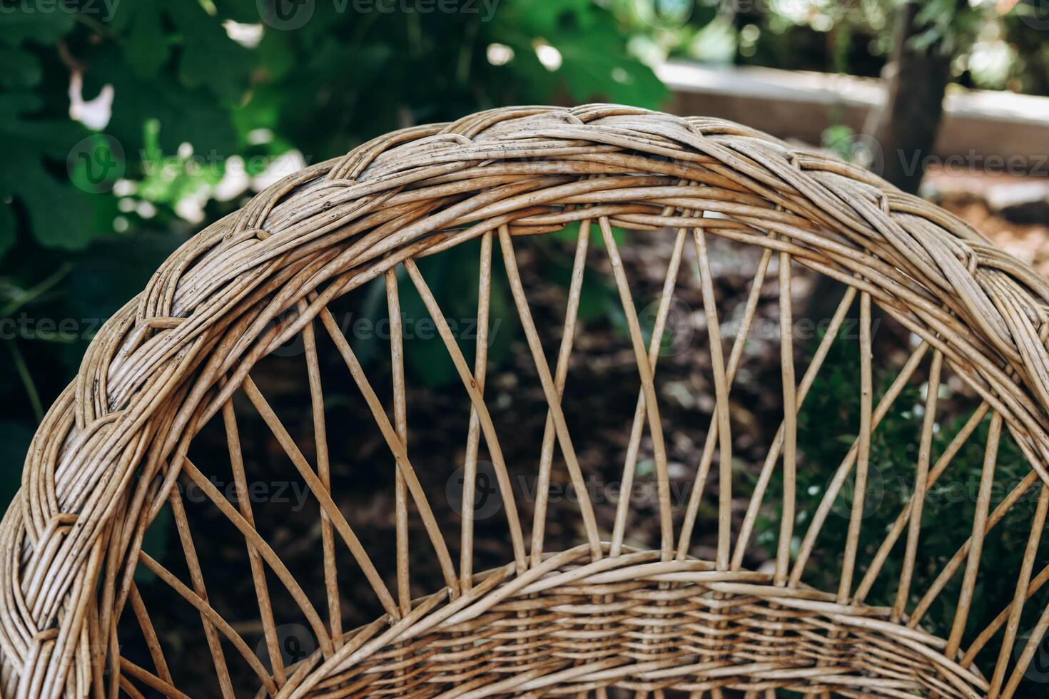 Woven wicker chair surrounded by lush greenery in a serene outdoor space photo
