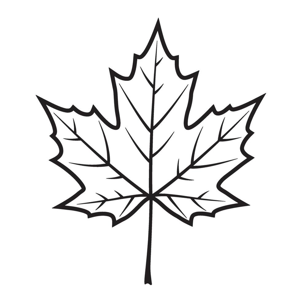 Black and white outline of a single maple leaf isolated on a white background vector