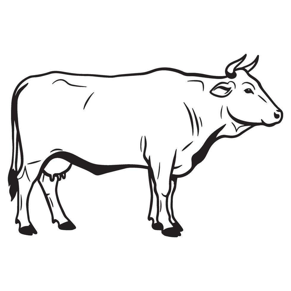 Simple black and white illustration of a cow animal standing isolated on a white background vector