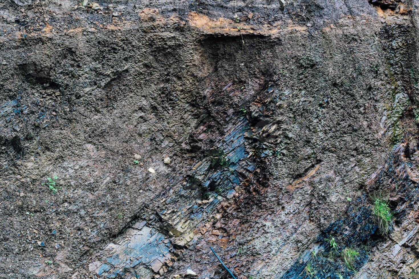 Detailed view of layered earth showing soil rock formations and vegetation in a natural setting photo