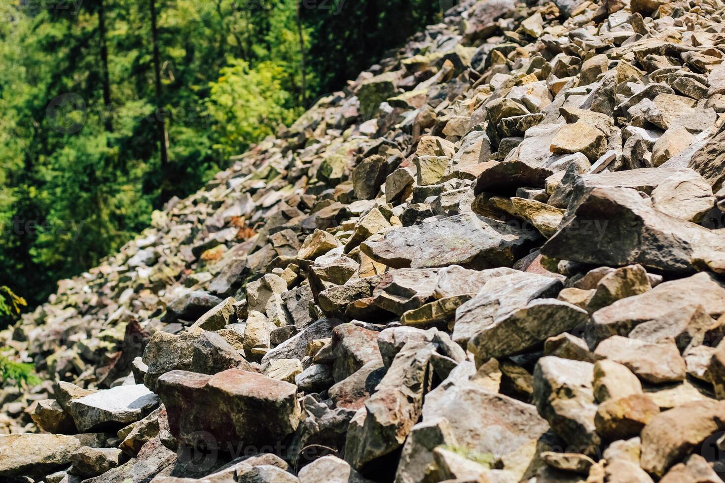 Rocky terrain with colorful stones and lush greenery in a forest setting photo
