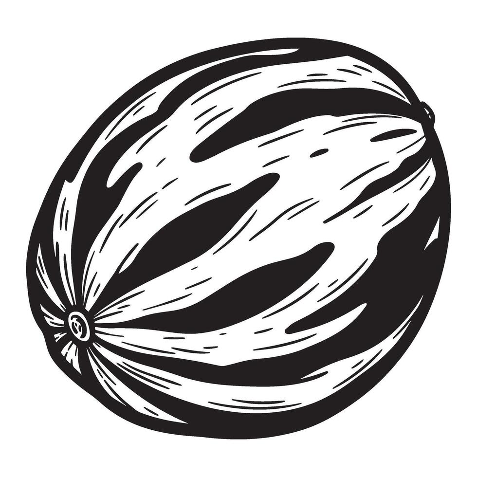 A simple black and white illustration of a fresh whole watermelon for summer vector