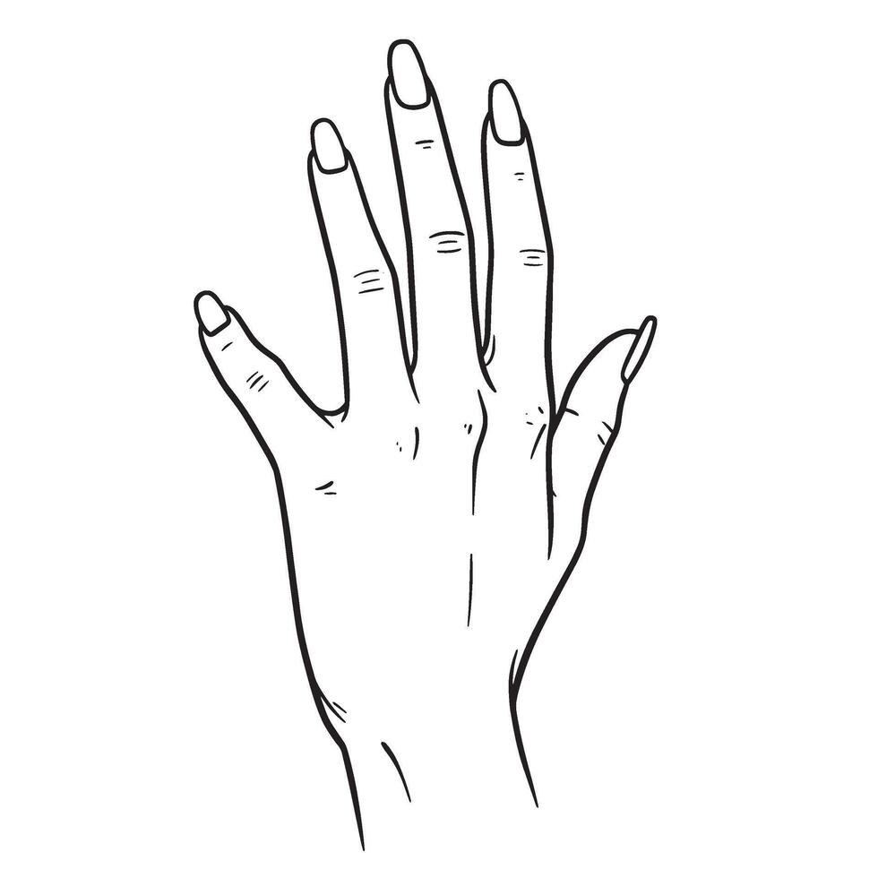 Line art illustration of a hand with long nails outstretched against a white background vector