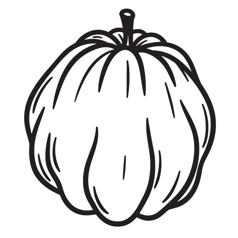 Simple black and white illustration of a pumpkin perfect for autumn designs vector