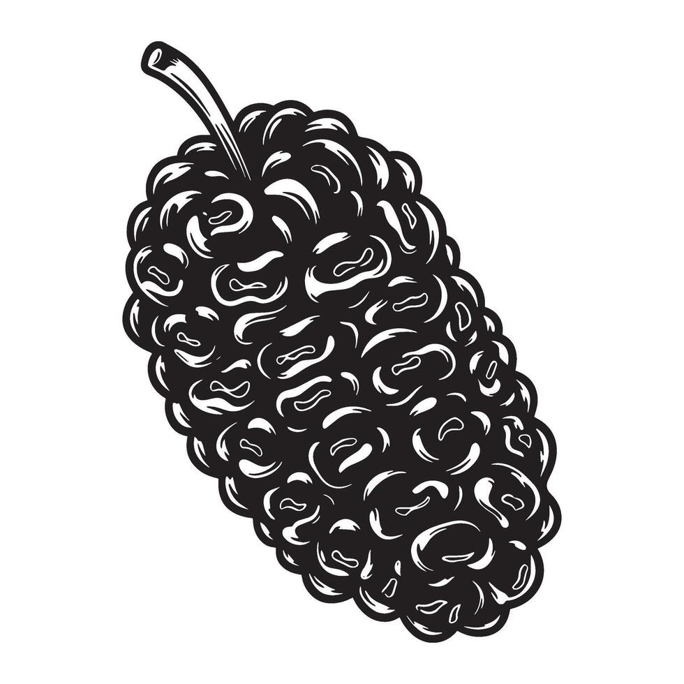 Detailed black and white illustration of a ripe mulberry fruit with stalk for design projects vector