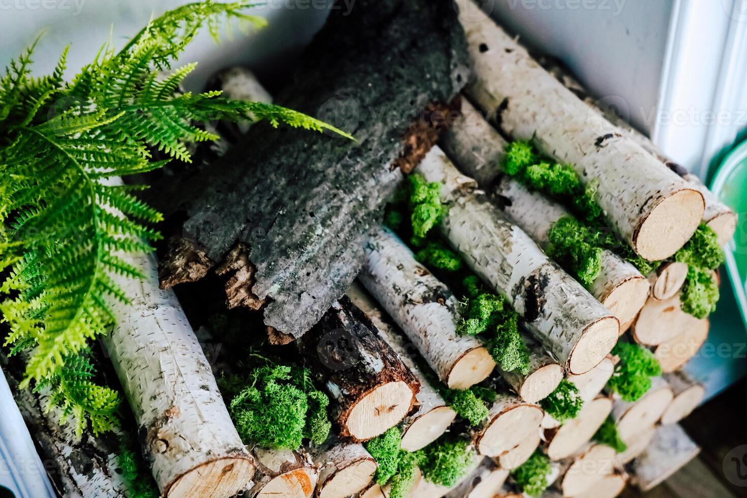 Stacked logs with lush green moss and fern arrangement in cozy indoor space photo