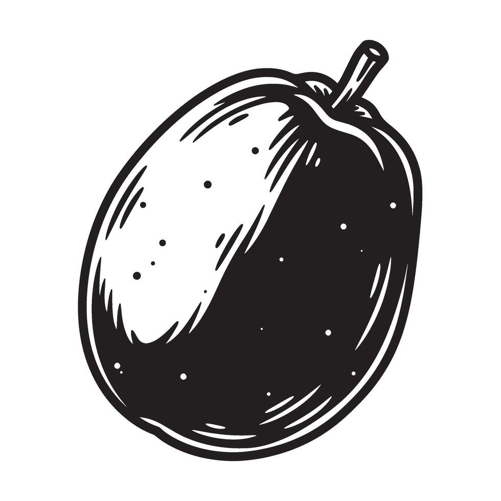 Hand drawn black and white illustration of a papaya fruit with stem on a white background vector