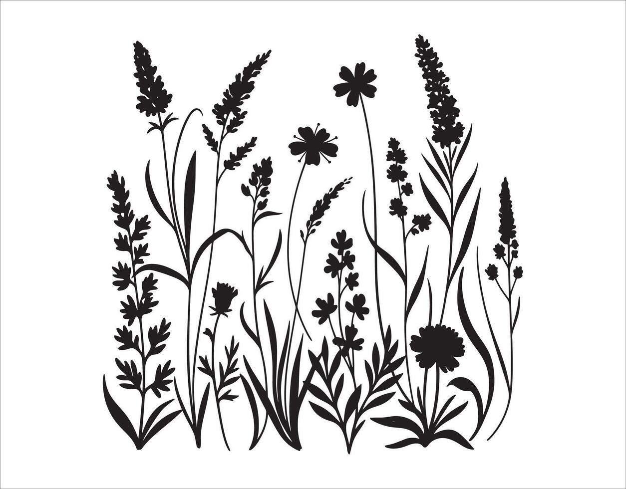 black outlines of meadow wildflowers and herbs. This one's done in a doodle style. vector