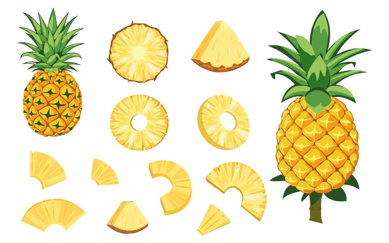 Pineapple and its sliced pieces illustration vector