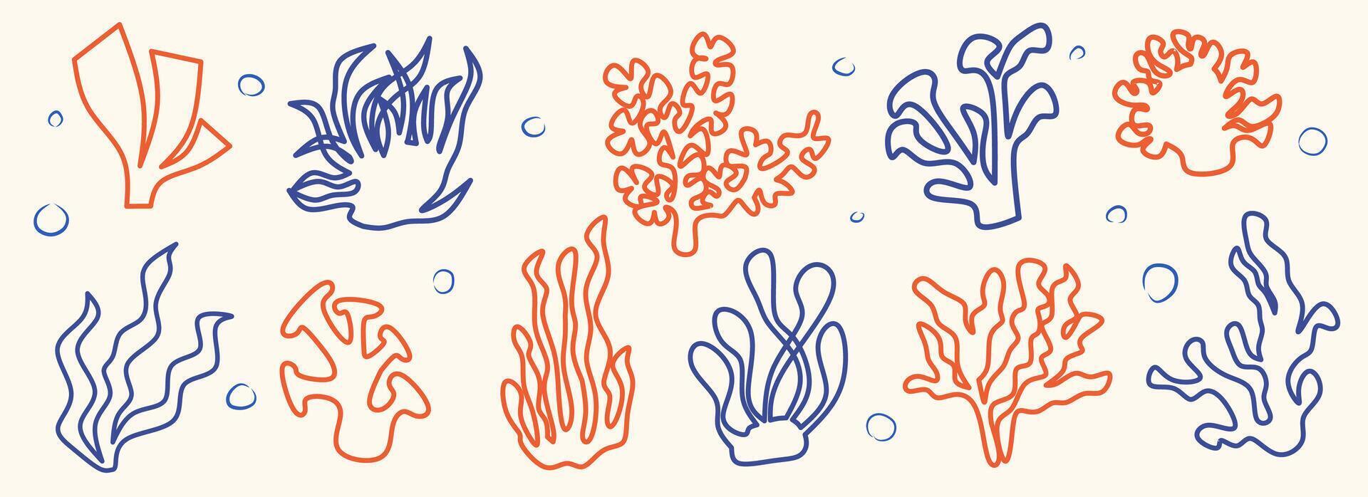 Set of Seaweeds and coral reef underwater plant line art collection. Aquarium, ocean and marine algae water plants, corals isolated on white. Seaweeds polyps silhouettes. Branches, twigs and flowers. vector