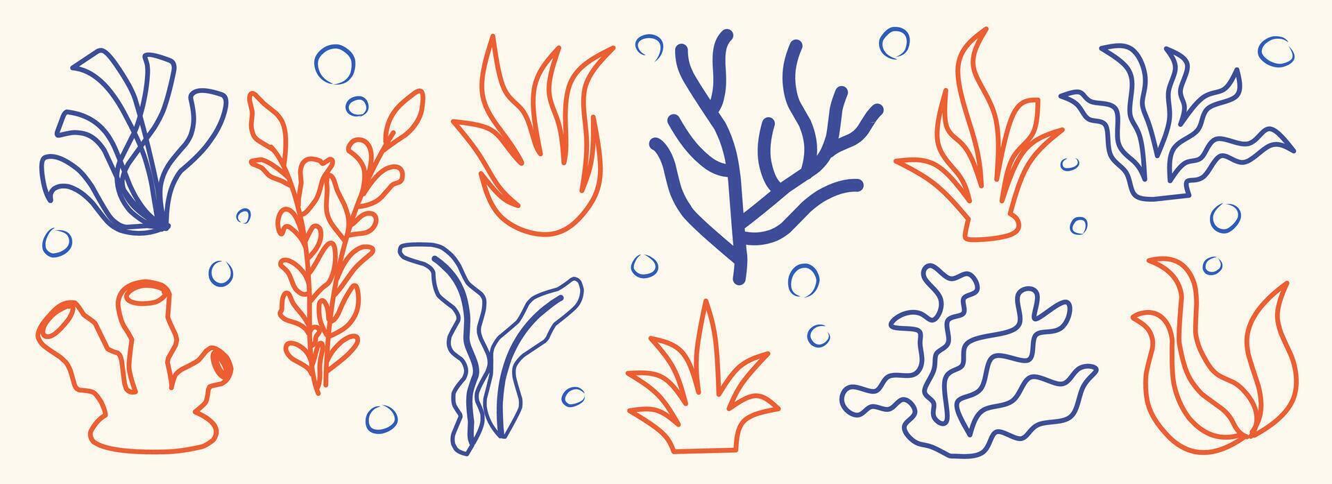 Set of Seaweeds and coral reef underwater plant outline collection. Aquarium, ocean and marine algae water plants, corals isolated on white. Seaweeds polyps silhouettes. Branches, twigs and flowers. vector
