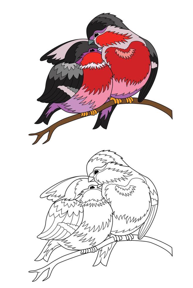 birds sitting on a branch coloring book vector