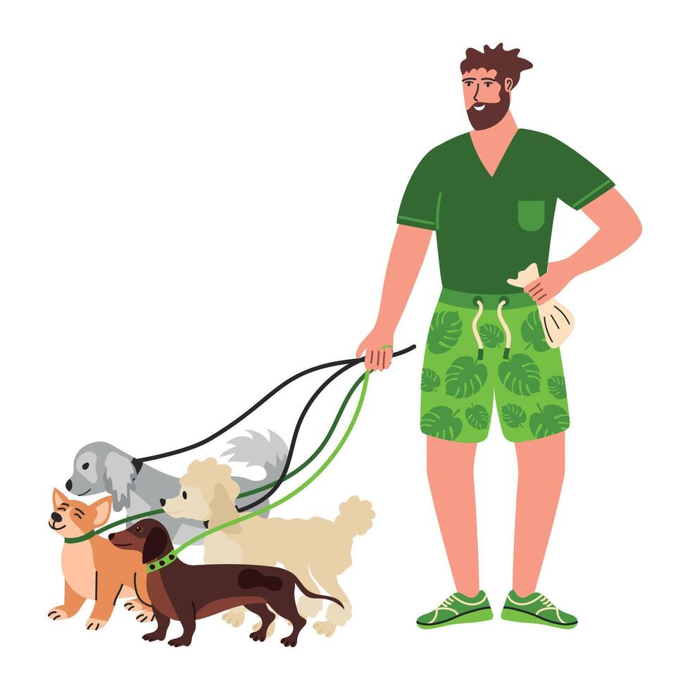 Man walking dogs on leashes vector