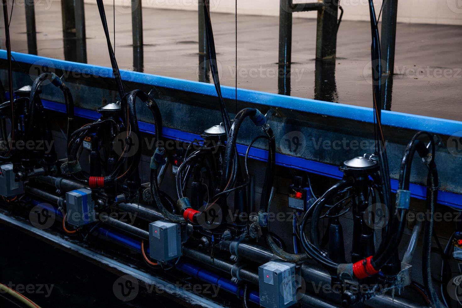 Row of milking machine units with pipes, hoses, and control boxes on a metallic structure. Wet floor indicates recent cleaning or use in the facility. photo