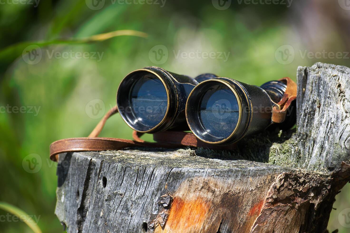 Vintage Binoculars on a Weathered Wooden Stump in Nature photo