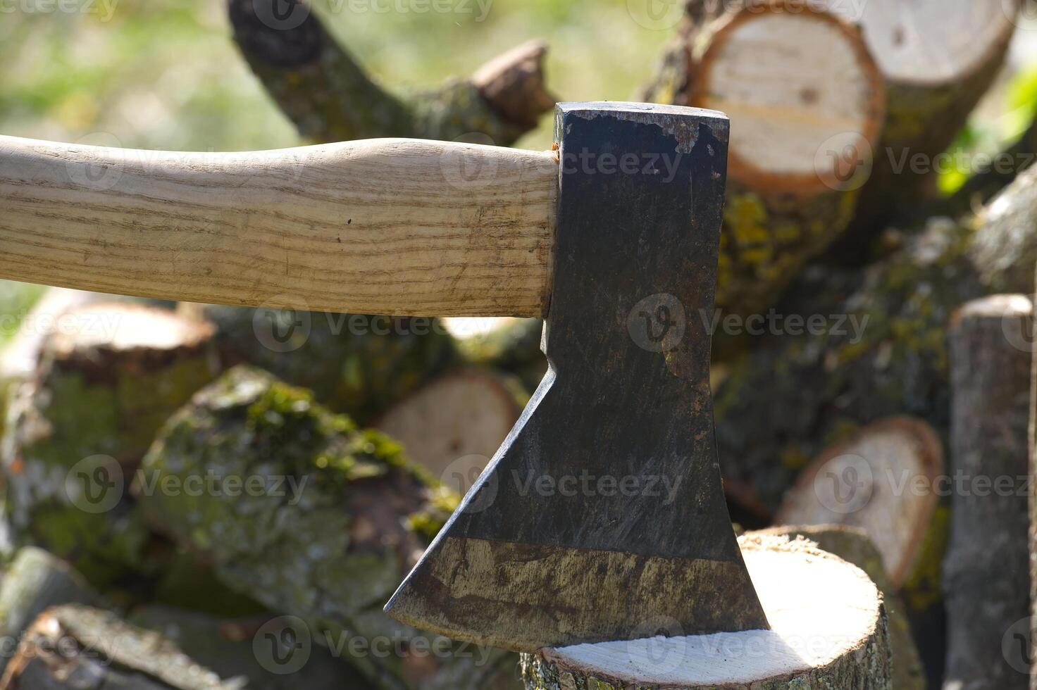 Well-used axe is ready for action, resting on a freshly cut log with a blurred background of more wood. photo