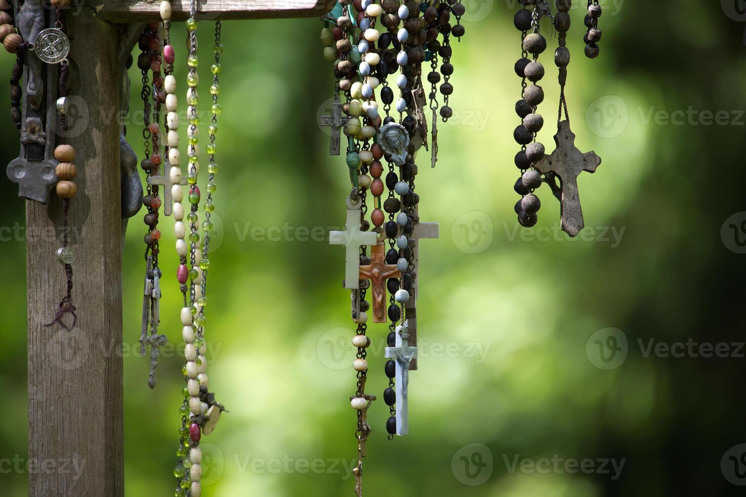 Various rosaries with crosses and beads hang against a soft, green backdrop. photo