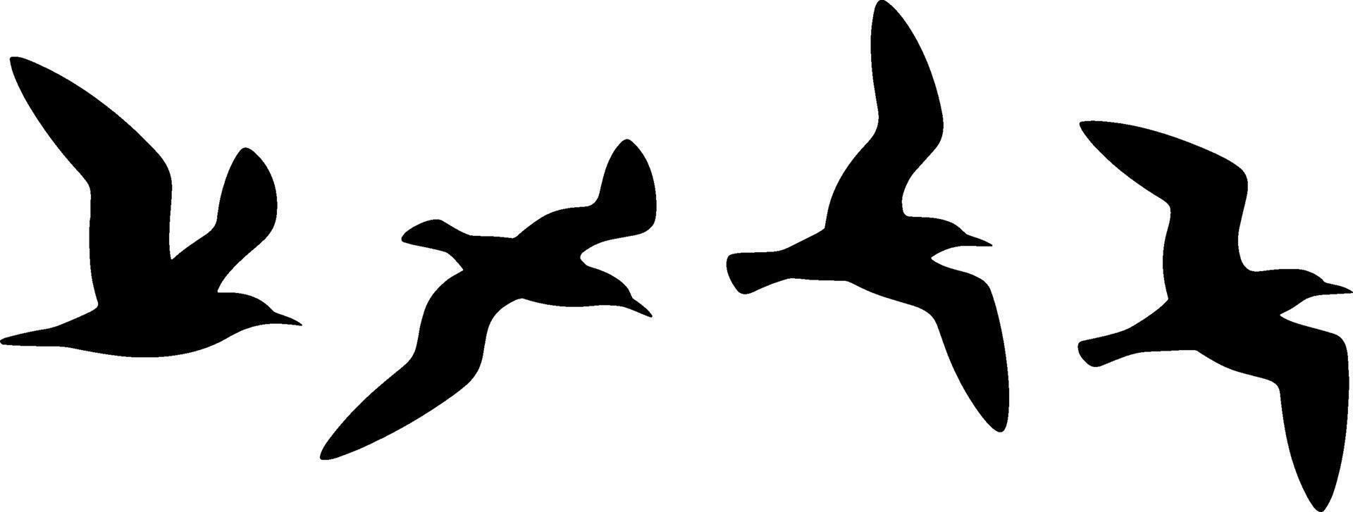 Black Silhouette Flying Seagull Bird Set Nature Wildlife vector