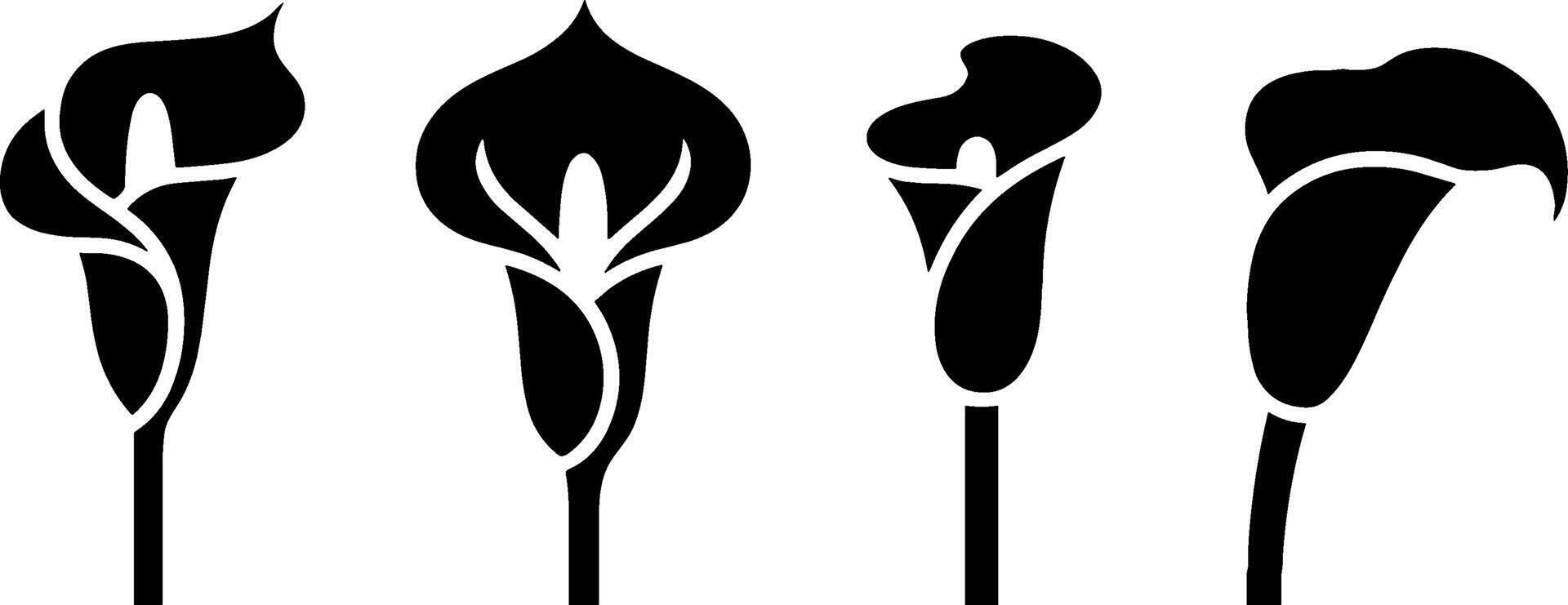 Calla Lily Flowers Silhouette Set Floral Decorative Elements vector