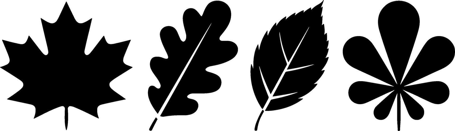 Silhouette Maple Oak Birch Horse Chestnut Leaf Set Natures vector