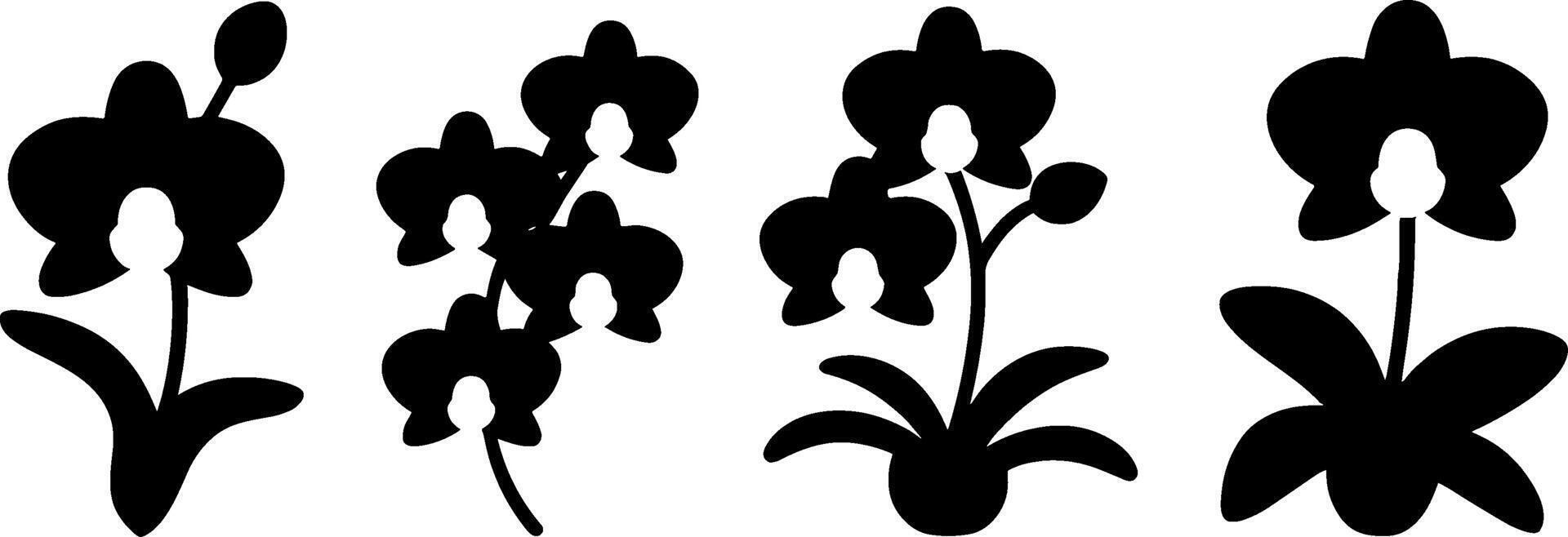 Black Orchid Flower Silhouette Set Botanical Clipart vector