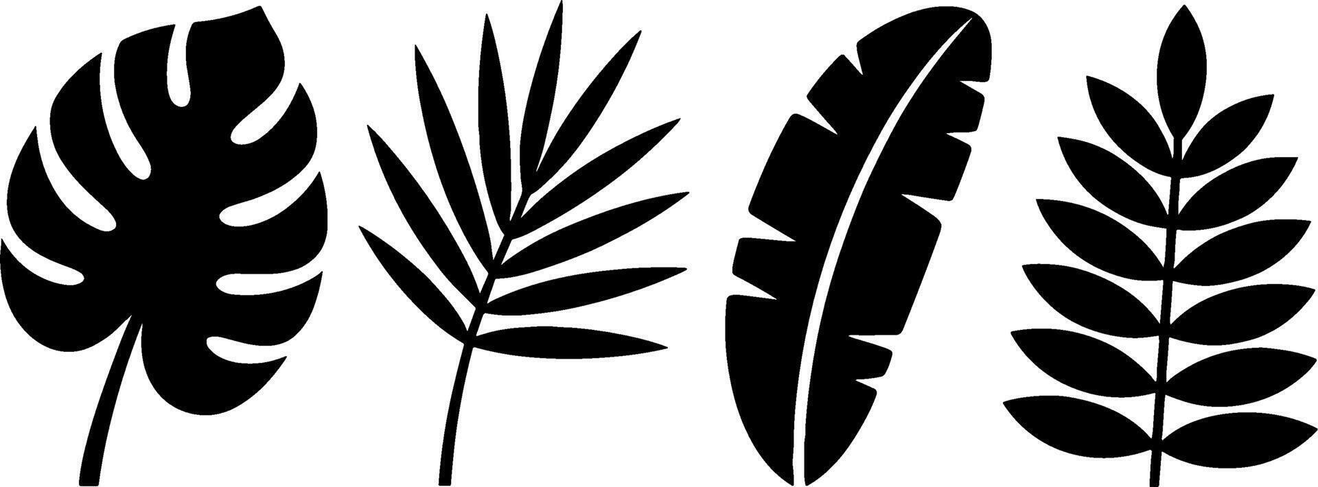 Tropical Leaf Silhouettes Set Monstera Palm Banana Leaf Fern vector