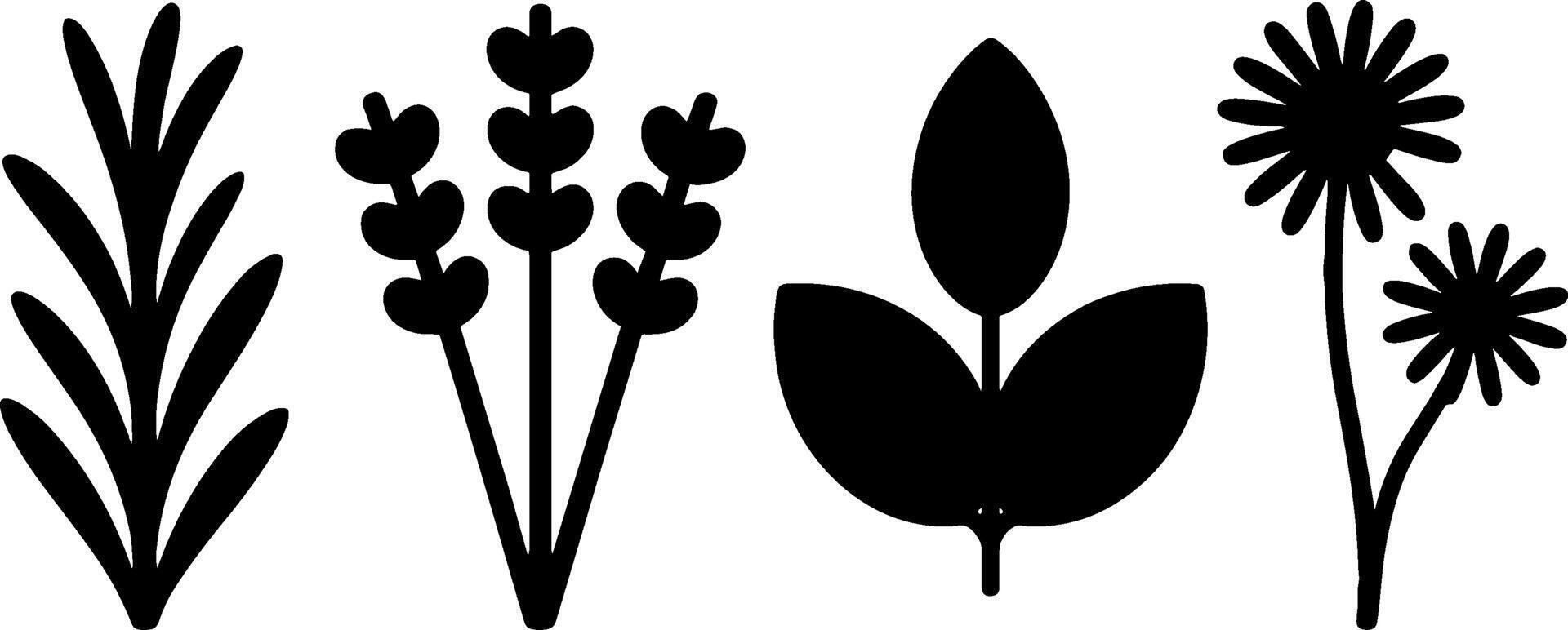 Herbal Plant Leaves Set Botanicals for Natural Health Products vector