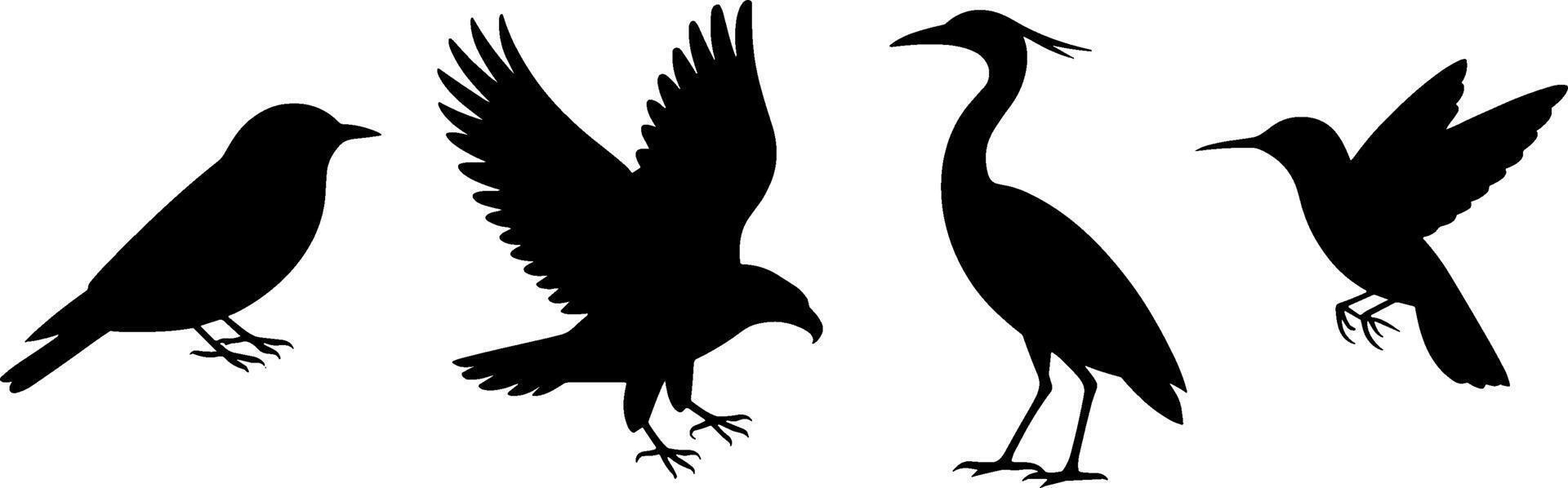 Silhouette Bird Set Songbird Hawk Heron Hummingbird Wildlifes vector