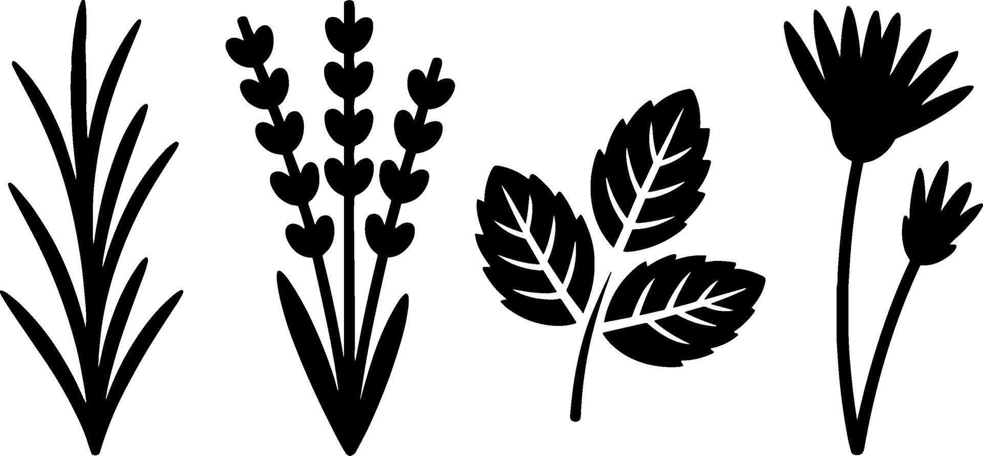 Herb Plant Silhouettes Set Culinary Gardenings vector
