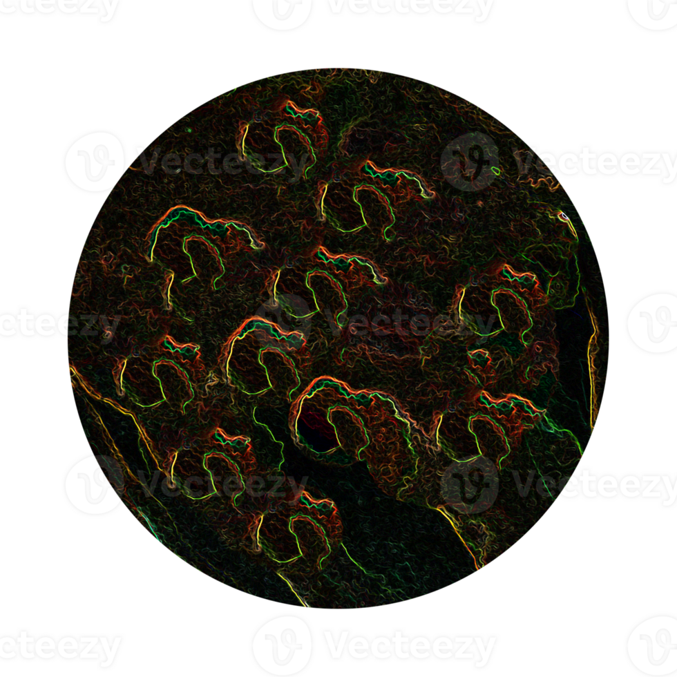 Abstract stylized colorful glowing line pattern in a circle png