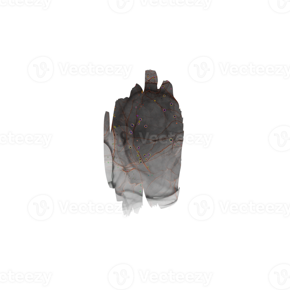 Digital palm print scan for biometric identification and security png