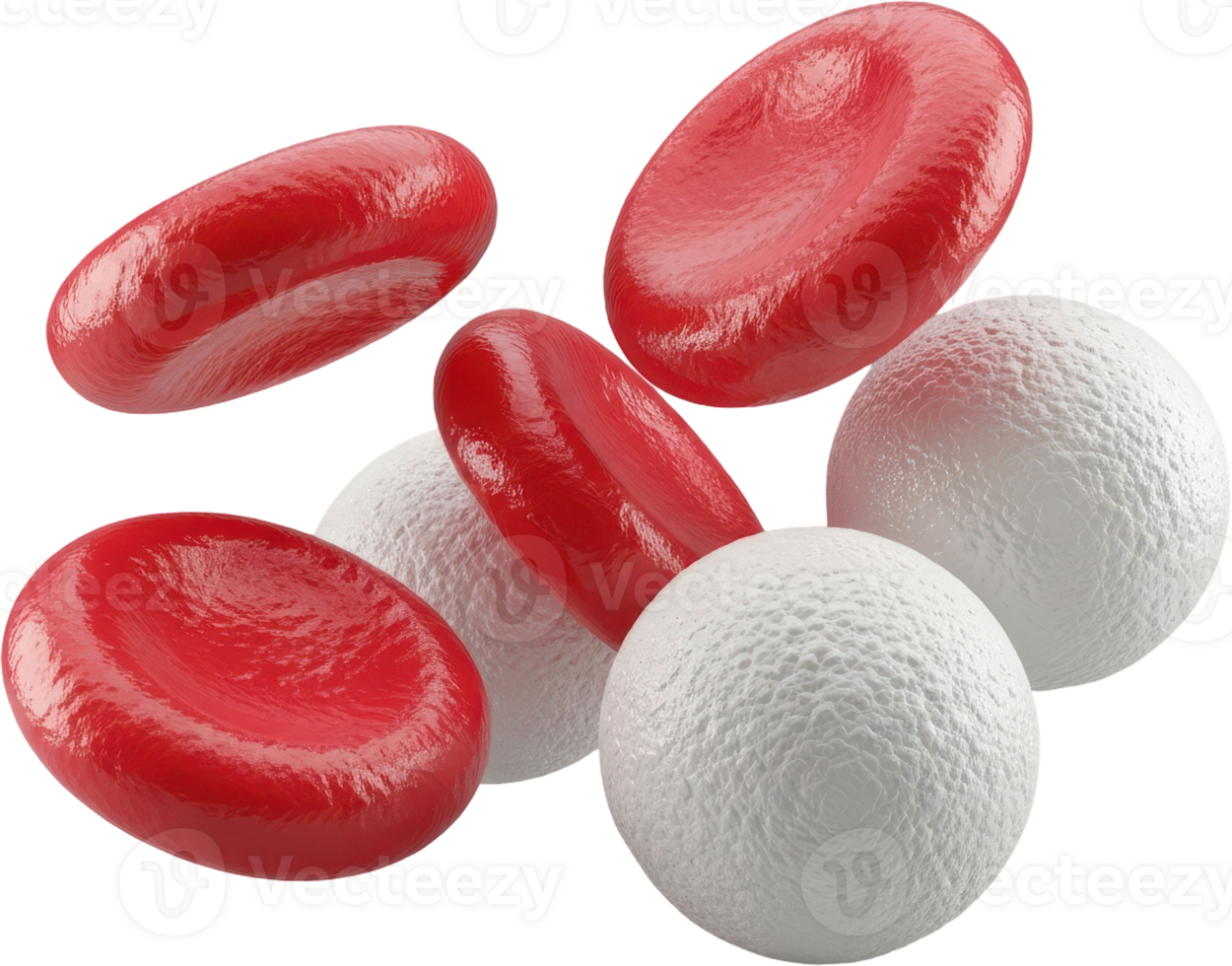 Red and white blood cells floating, microscopic view of human blood components png