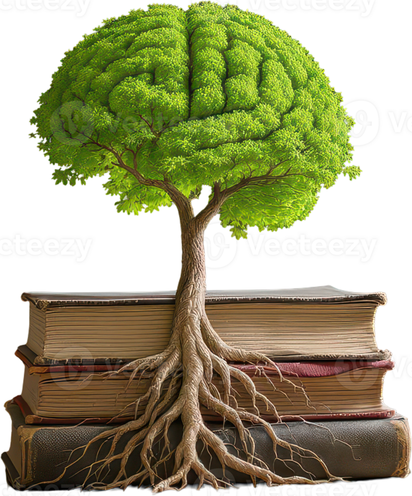 Brain shaped tree growing from old books symbolizing knowledge and wisdom png